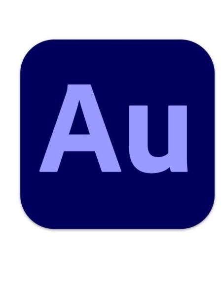 AUDITION PRO TEAM ML SUB R
