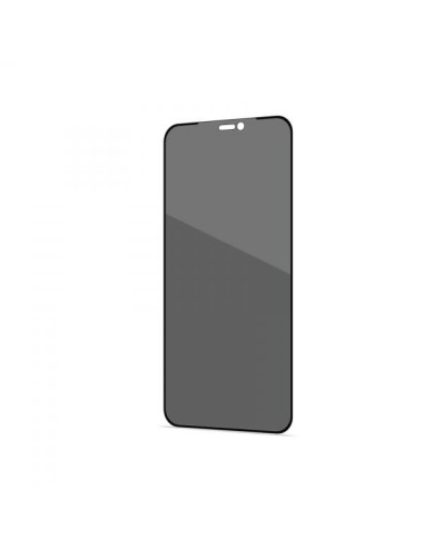 PRIVACY FULL IPHONE 12 PRO MAX BK