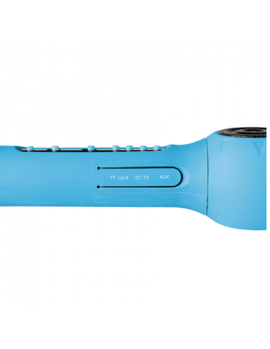 MICROPHONE WITH VOICE CONTROL LB