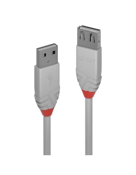 PROLUNGA USB 2.0 TIPO A2M