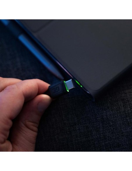 CABLE RAY WITH GREEN LED