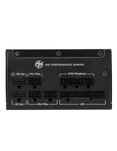 MPG A1250GS PCIE5