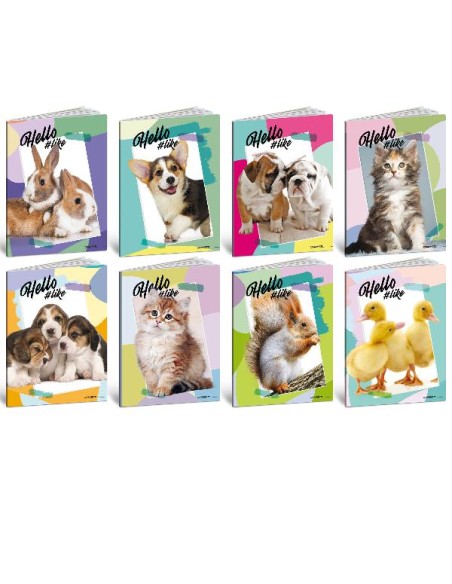 CF10 HELLO PETS 100G 24FF+1 0A