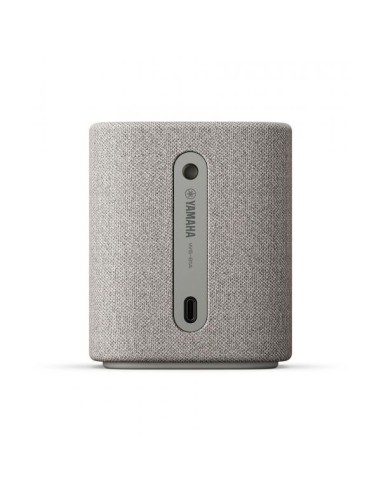 SPEAKER BLUETOOTH WS-B1A LIGHT GRAY