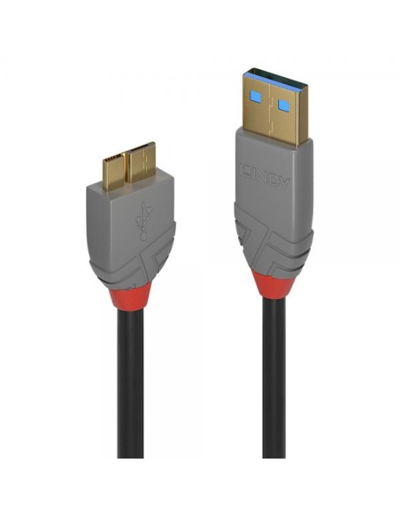 2M USB 3.1 A/MICRO-B  ANTHRA