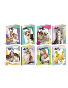 CF10 HELLO PETS 100G 24FF+1 0B 2