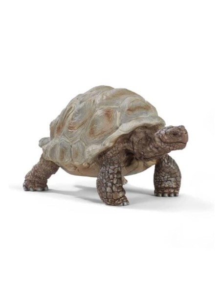 TARTARUGA GIGANTE