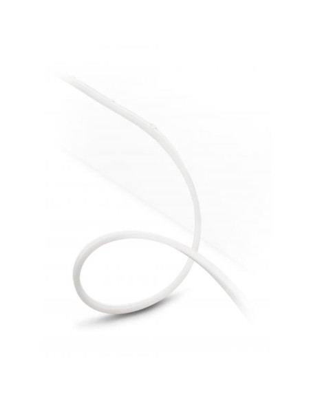 LIGHTSTRIP HUE ESTERNO 5M