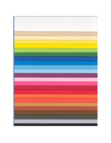 CF20 LR CEDRO-50X70