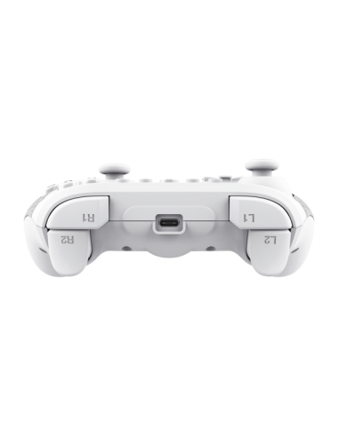 GXT1246W MUTA BT CONTROLLER SWITCH