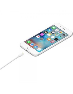 Apple Cavo Lightning a USB (1m) 2