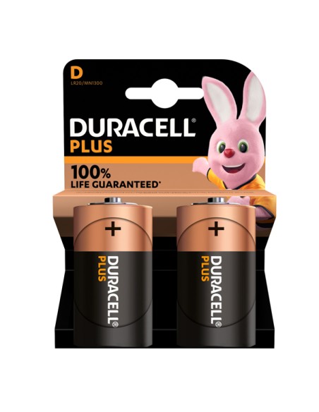 Pila Torcia D Plus100 - MN1300 - Duracell - blister 2 pezzi