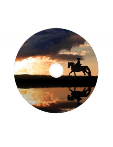 SPINDLE 25 DVD+R D.LAYER 8.5GB 8X