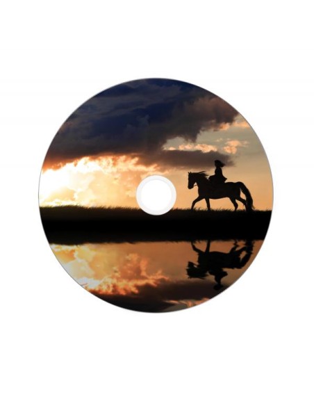 SPINDLE 25 DVD+R D.LAYER 8.5GB 8X