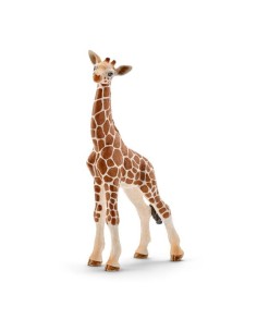 CUCCIOLO DI GIRAFFA (5) 2