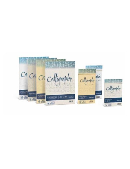 CF25BUSTE PERGAMENA 11X22 CREMA