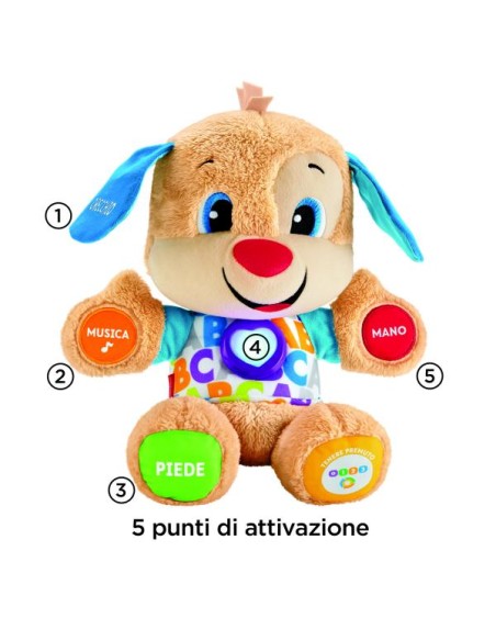 IL CAGNOLINO SMART STAGES