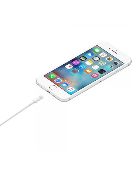 Apple D Cavo Lightning a USB-A 1m MXLY2ZM/A