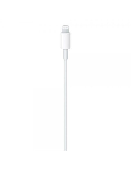 Apple Cavo Lightning a USB-C 2m MQGH2ZM/A