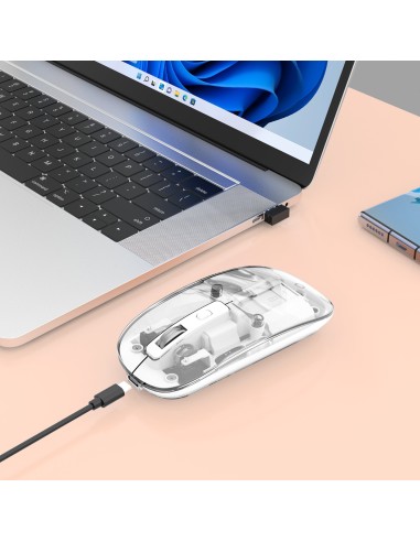 Mouse Ottico Wireless 1600 Dpi con Micro Ricevitore USB Bianco Trasparente
