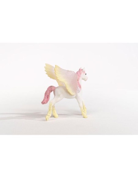 SUNRISE PEGASUS FOAL (3)