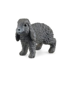 CONIGLIO ARIETE NANO (5)