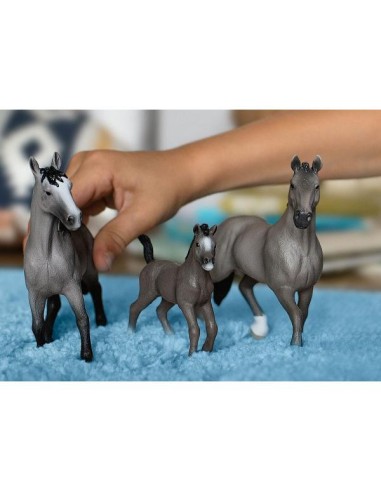 PULEDRO CHEVAL DE SELLE FRANCAIS