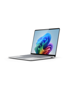 LAPTOP7 13 C10/16/256 PLAT 2