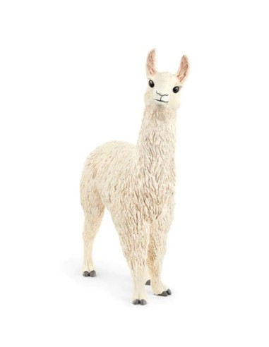 LAMA (5)