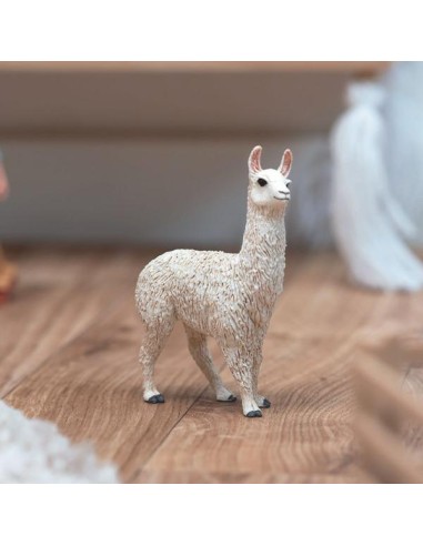 LAMA (5)