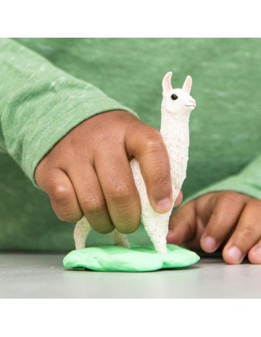 LAMA (5)