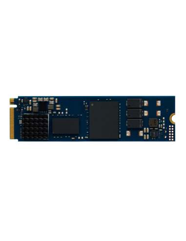 960G DC2000B PCIE4.0 M.2 2280 SSD