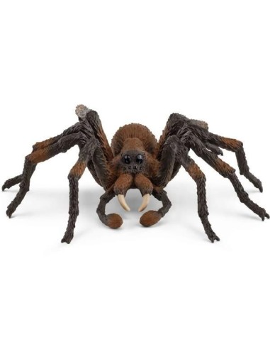 ARAGOG