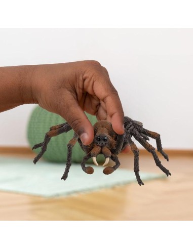 ARAGOG