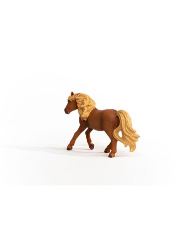 ICELAND PONY STALLION (5)