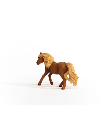 ICELAND PONY STALLION (5)