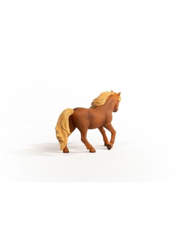 ICELAND PONY STALLION (5)