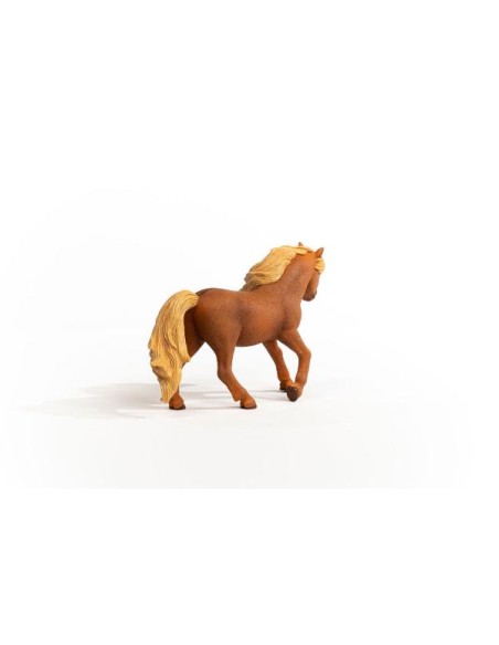 ICELAND PONY STALLION (5)