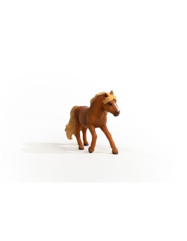 ICELAND PONY STALLION (5)