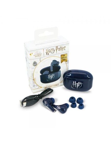 HARRY POTTER NAVY SILVER CORE