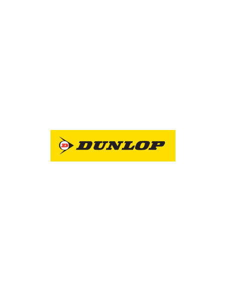 Dunlop Winter Response 2 - 185/60 R14 82T
