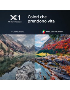 X85 65 FULL ARRAY LED 4K  GOOGLE 2