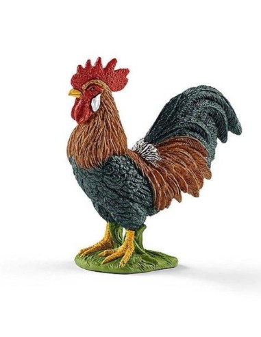 GALLO (5)