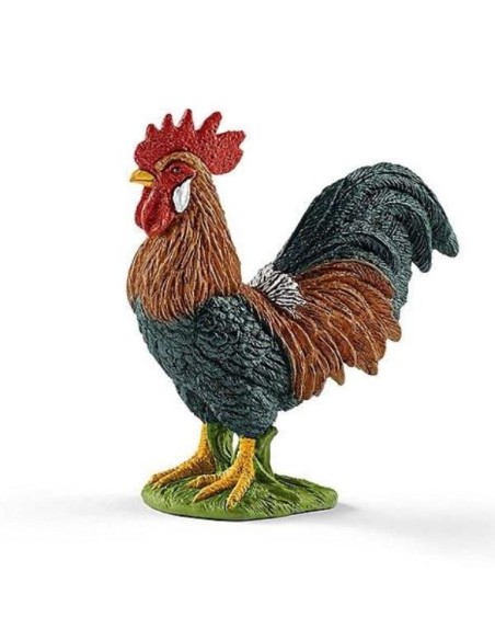 GALLO (5)