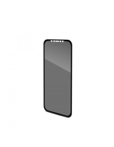 PRIVACY 3D IPHONE XS MAX BLACK