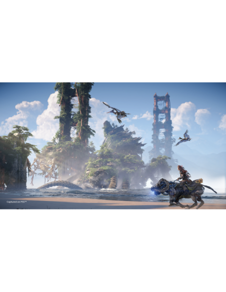 PS5 Horizon Forbidden West