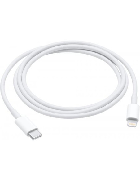Apple Cavo USB-C a Lightning (1m) MM0A3ZM/A