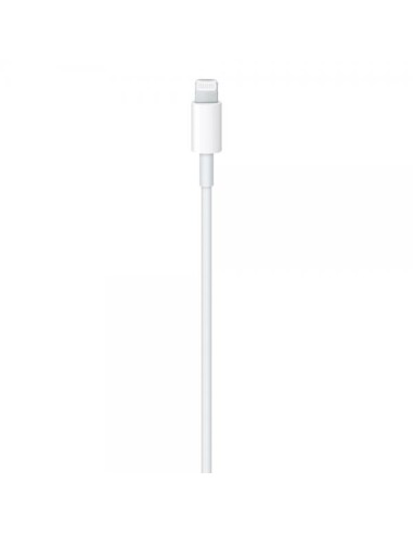 Apple Cavo USB-C a Lightning (1m) MM0A3ZM/A