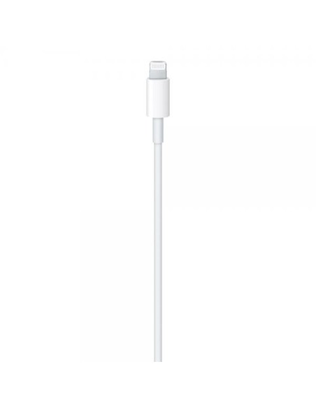 Apple Cavo USB-C a Lightning (1m) MM0A3ZM/A