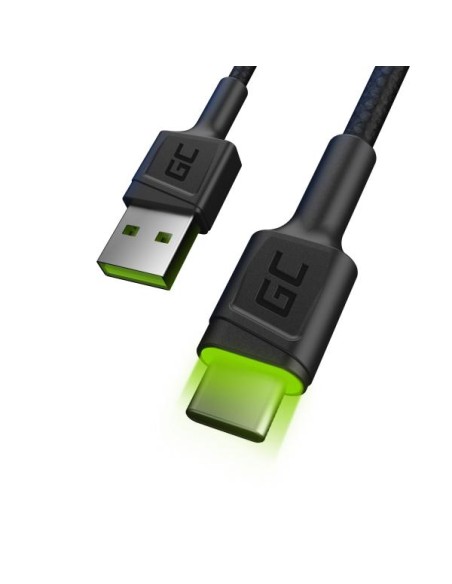 CABLE RAY ULTRA CHARGE